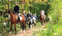 Familienreiten in der Lüneburger Heide