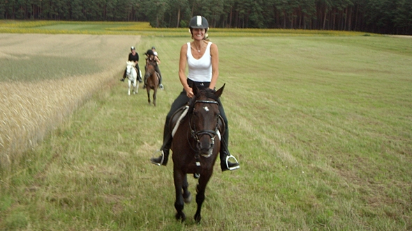 Wanderreiten in der Lüneburger Heide für Fortgeschrittene