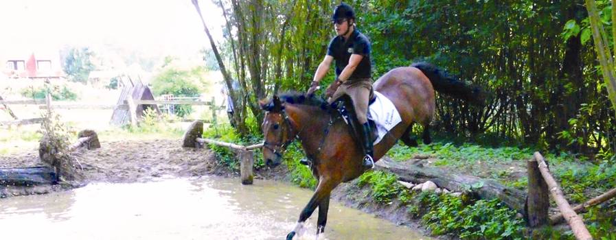 Preisliste für Reitstunden, Fahrkurse und Ausritte im Reiterdorf Lüneburger Heide