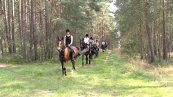 Reiturlaub in der Lüneburger Heide