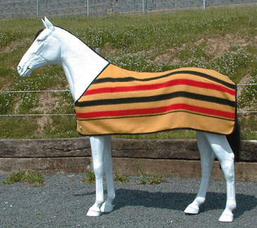 Reitsportartikel Reitsport Zubehör Online Shop Niedersachsen