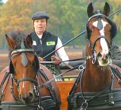 Fahrlehrgang Hitzacker FN Fahrtrainerin Ute Grev? Kutsche Wagen Ponycarting 