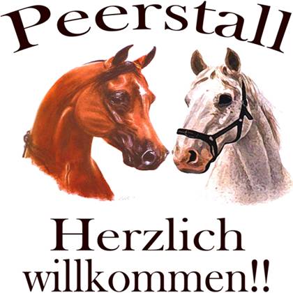 Silvester2014 im Peerstall