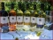 Wein_1-300x225