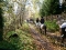 2010_1106jagd20100392-300x225