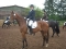 Thorsten-und-Christel-300x224