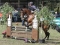 Wahrenholz-3-16.05.2010-300x200