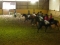 jugendtreff-reitverein01-300x225