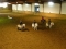 jugendtreff-reitverein05-300x225