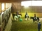 jugendtreff-reitverein09-300x225