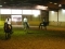 jugendtreff-reitverein10-300x225