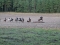 2010_1106jagd20100408