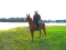 2008_0805wanderreiten0119
